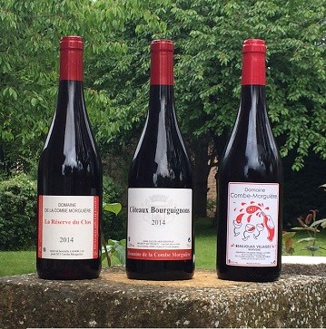 Cliquez pour agrandir la photo.