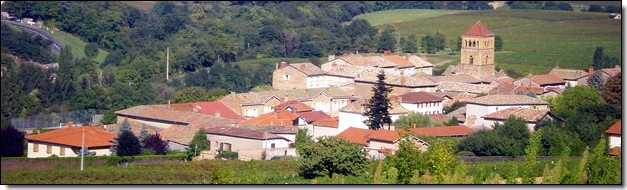 Vue panoramique de Salles-Arbuissonnas